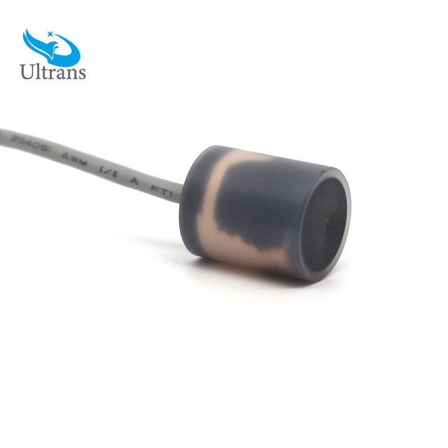 Transductor ultrasónico de 200 kHz para pruebas de capacidad pulmonar